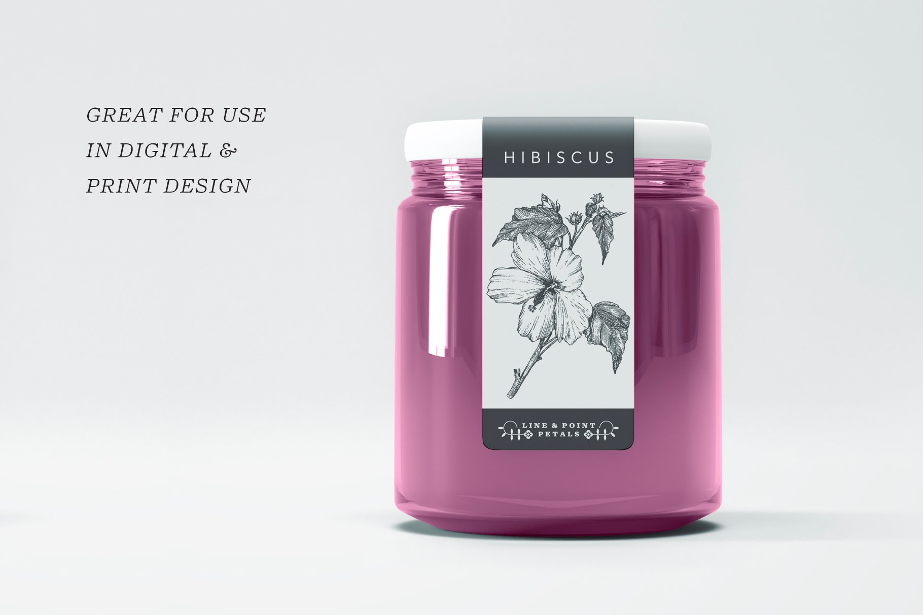 Hibiscus Botanical Line Art preview image.