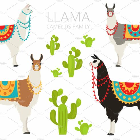 Llama clipart cover image.