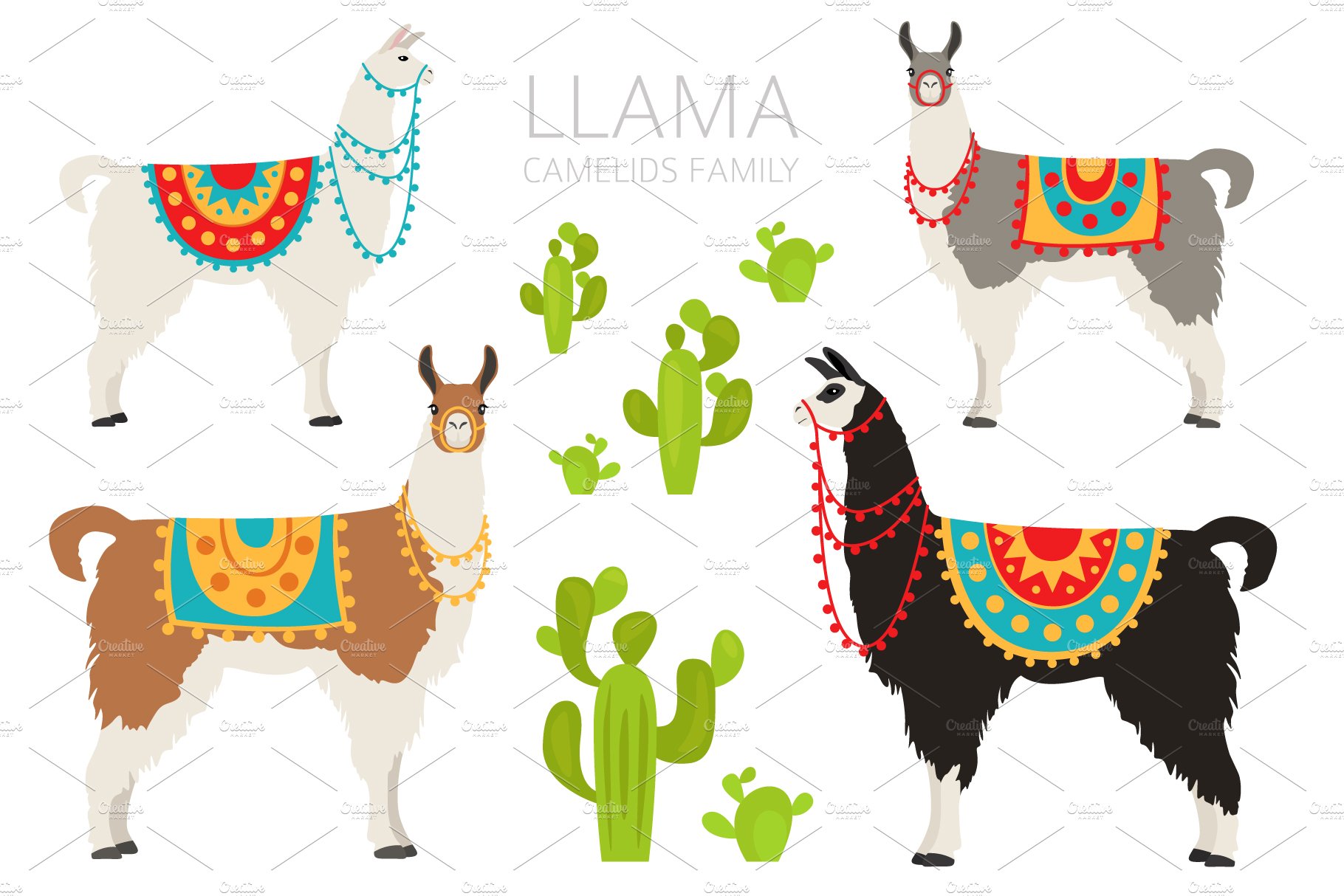 Llama clipart cover image.