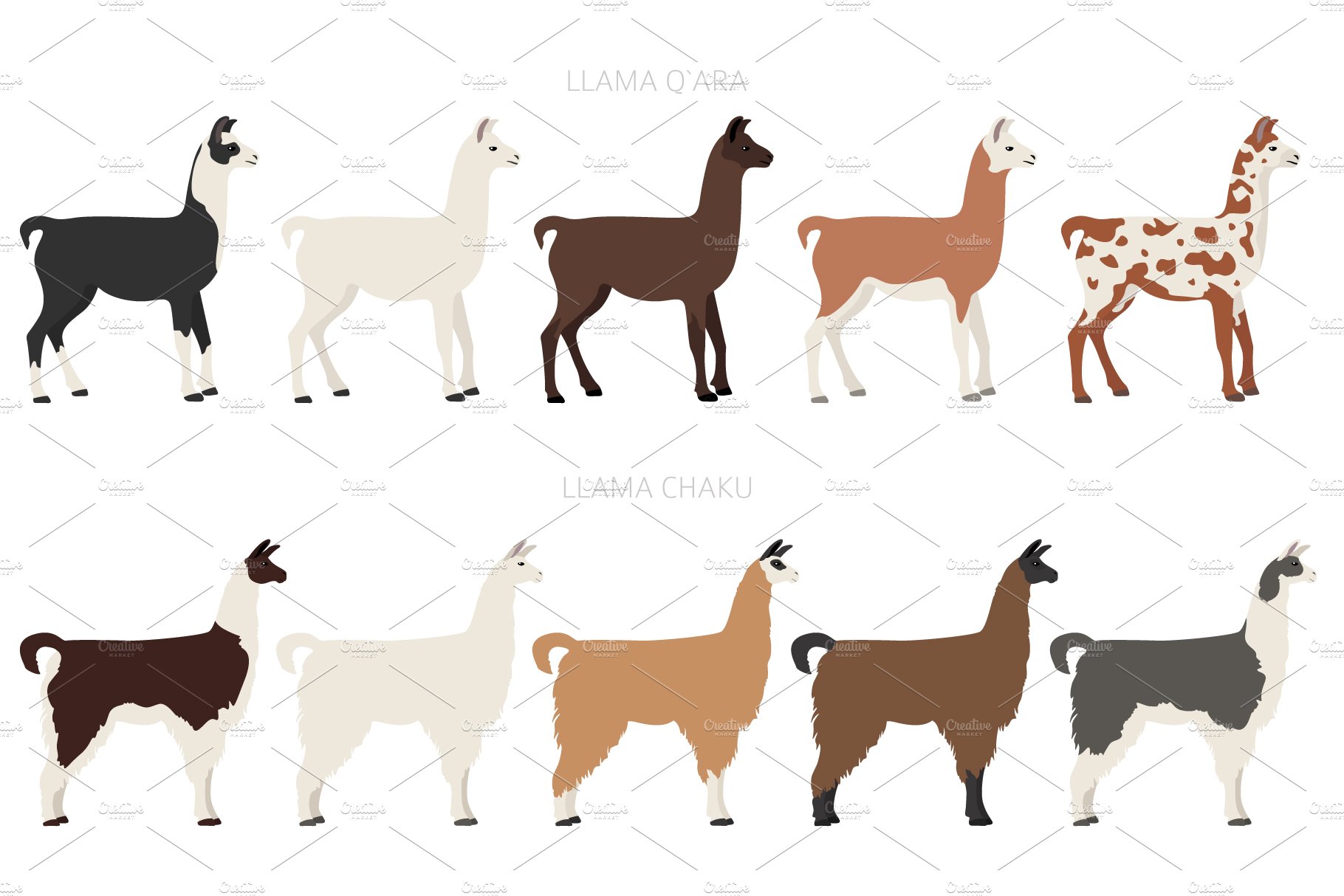 Llama clipart preview image.