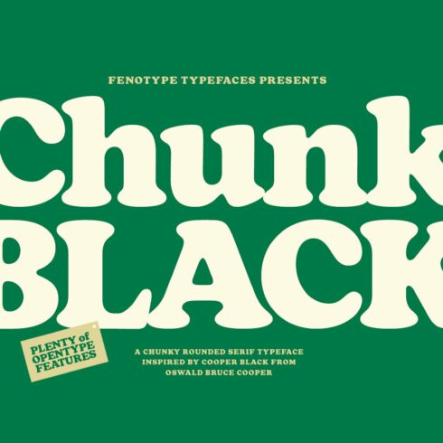 Chunk Black Retro Serif cover image.