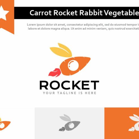 Carrot Rocket Rabbit Bunny Logo cover image.