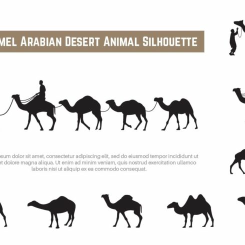 28 Camel Arabian Desert Animal cover image.