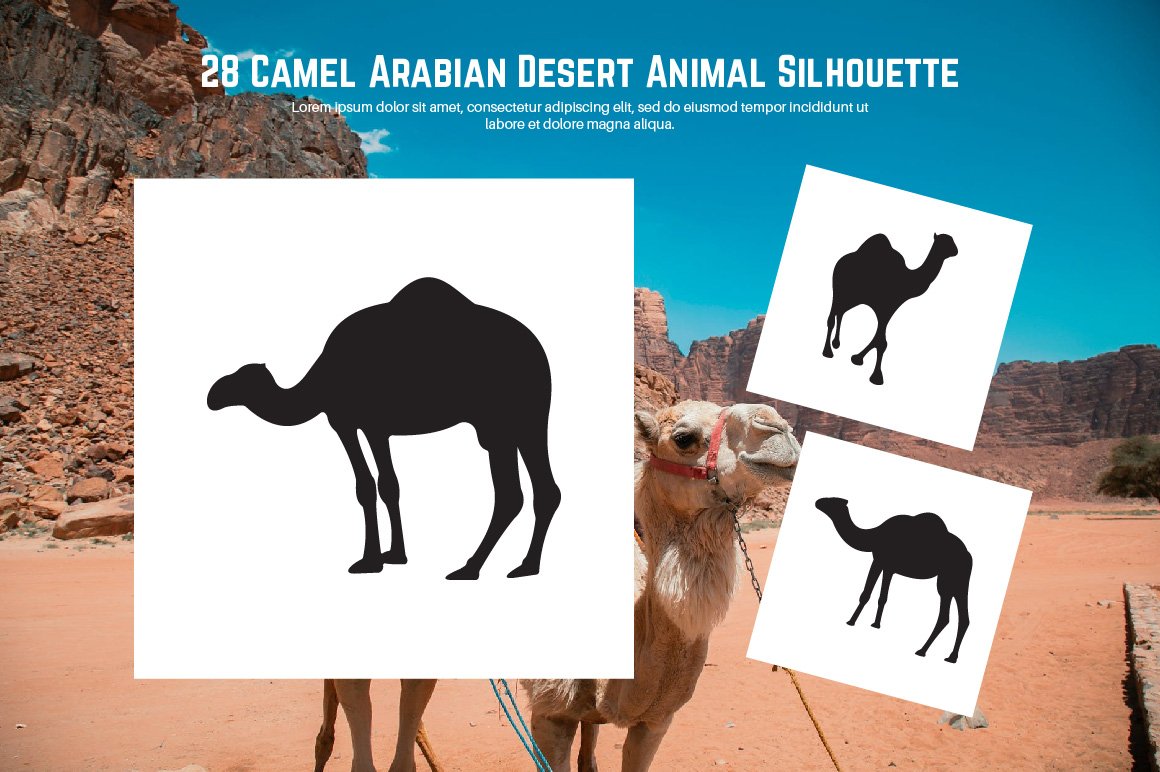 28 Camel Arabian Desert Animal preview image.