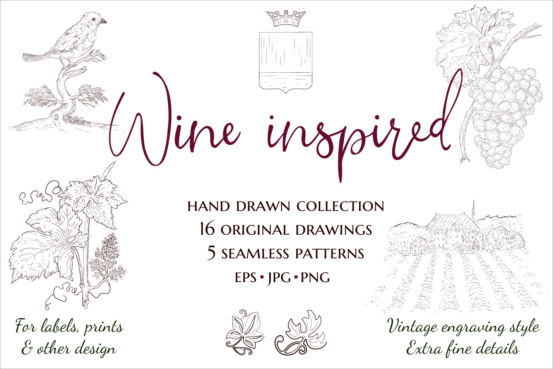 Wine inspired collection. Hand drawn cover image.