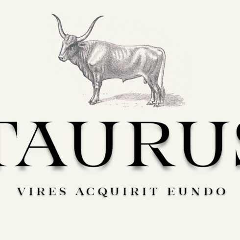 Taurus -high class serif cover image.