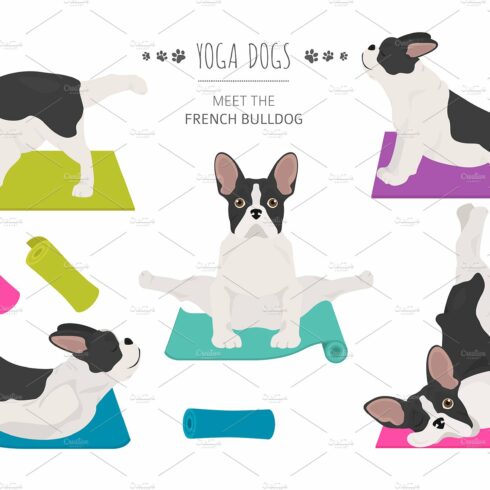 French bulldog yoga cover image.
