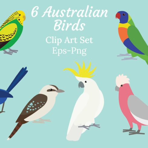 Cute Australian Birds Clipart Bundle cover image.