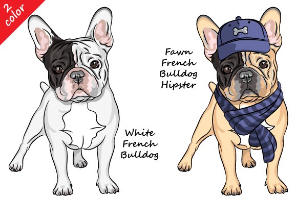 French Bulldog collection preview image.
