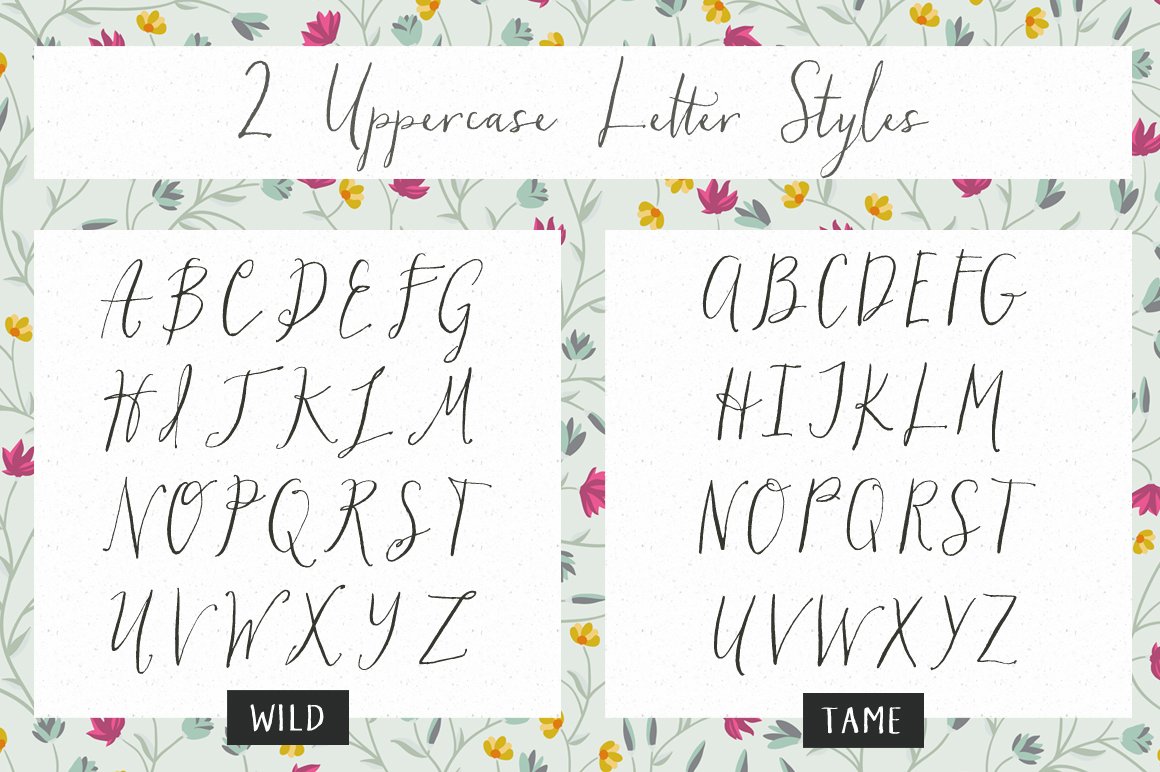 Hollyhock - A Messy Calligraphy Font preview image.