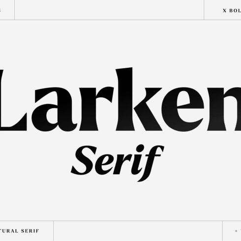 Larken - A Beautiful Serif cover image.