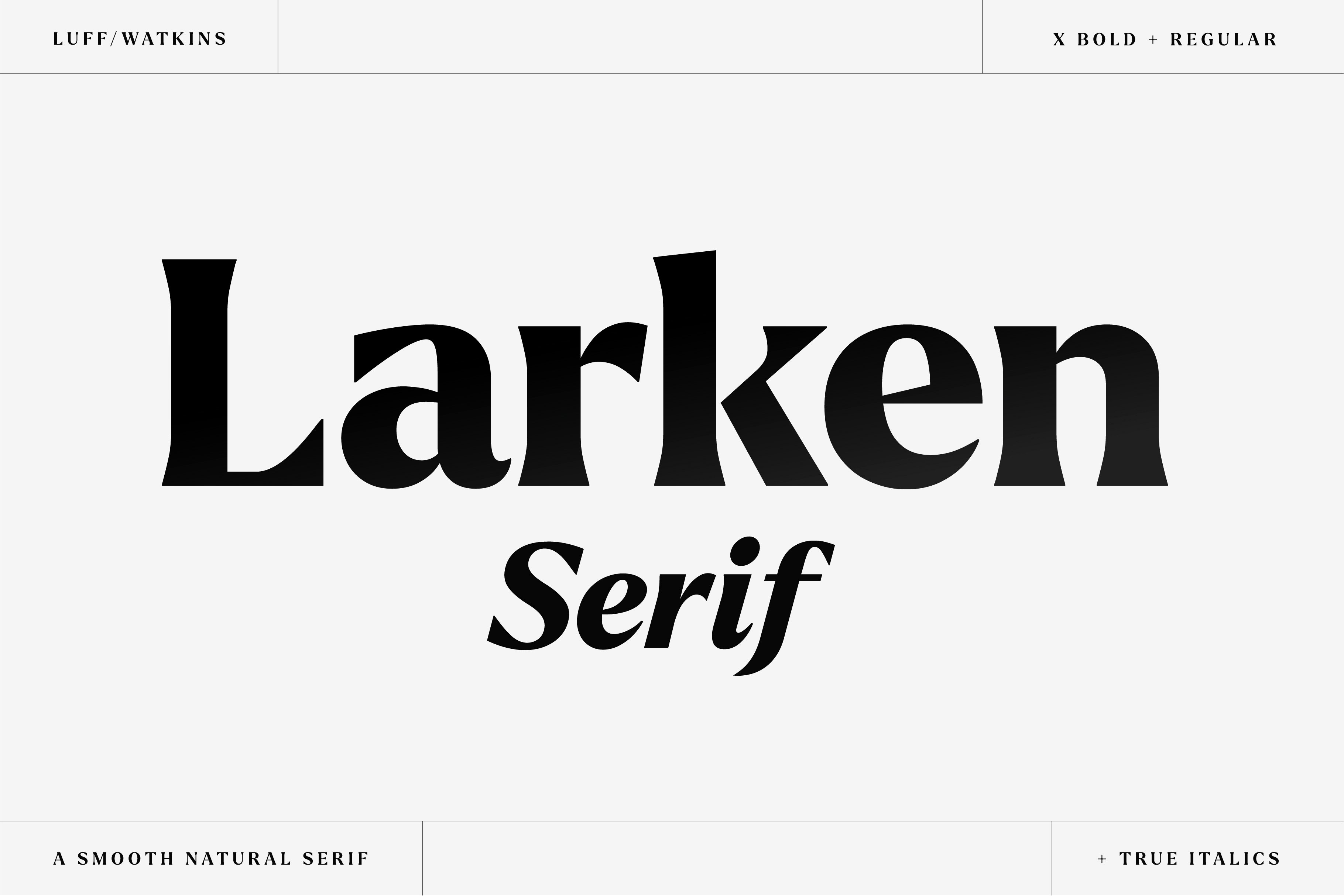 Larken - A Beautiful Serif cover image.