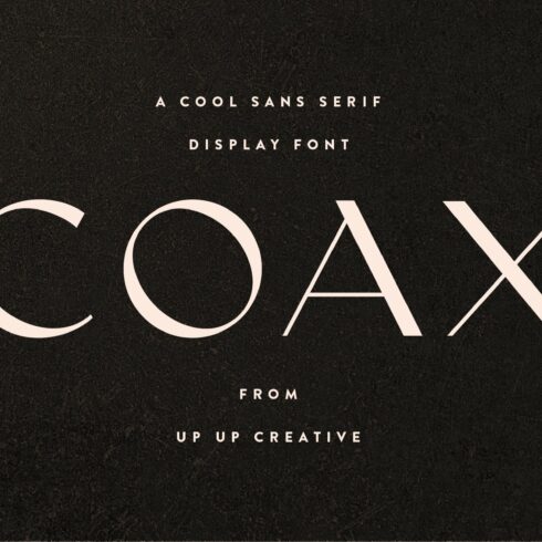 Coax, A Cool Sans Serif Display Font cover image.