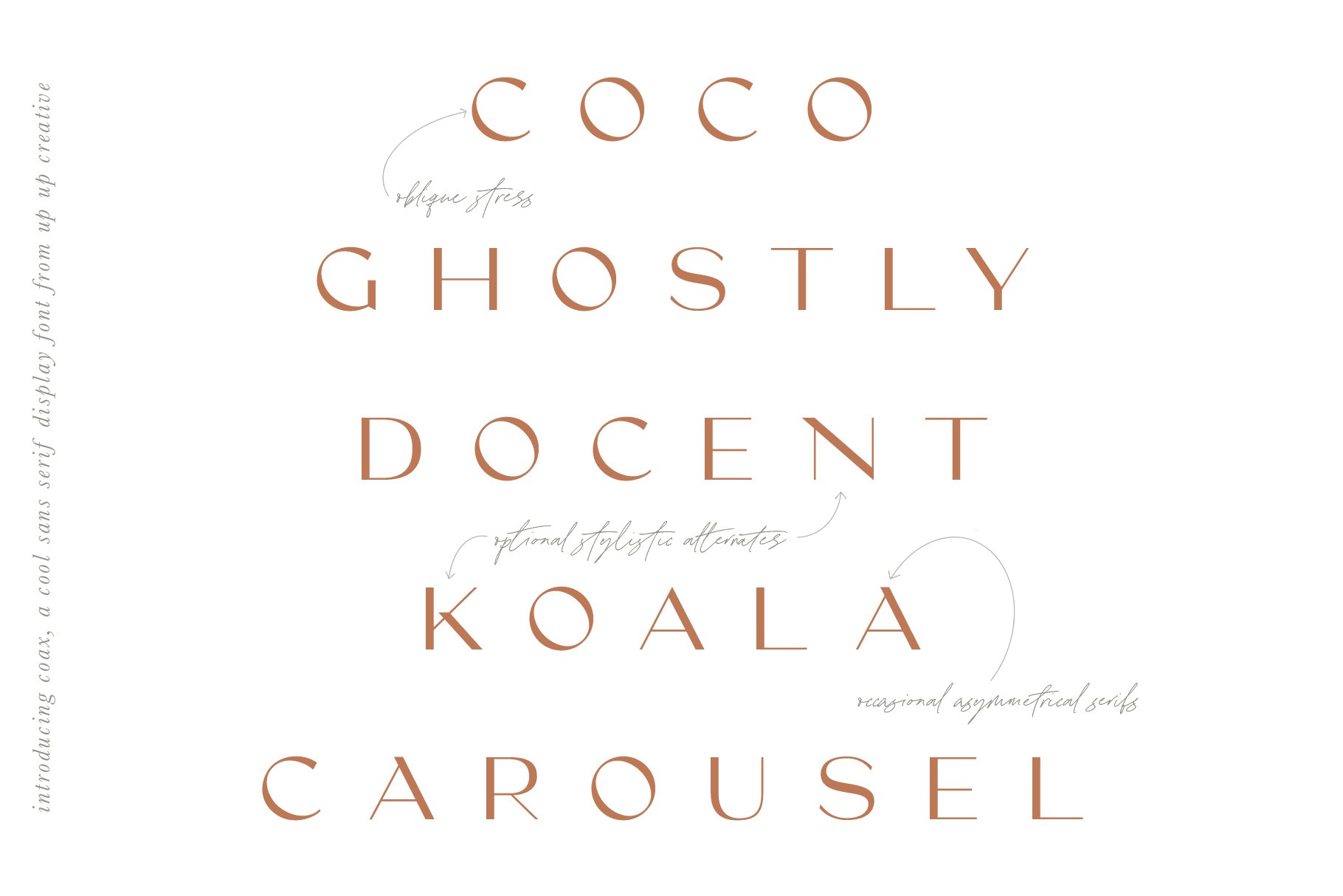 Coax, A Cool Sans Serif Display Font preview image.