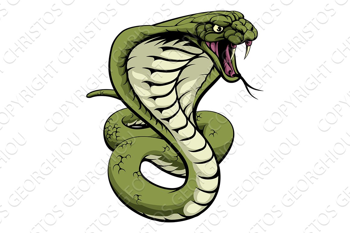 King Cobra Snake cover image.
