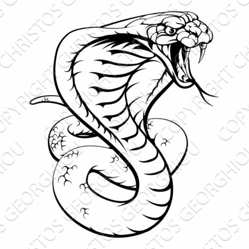 Cobra Snake cover image.