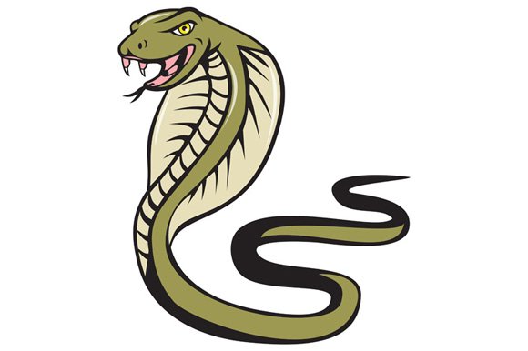 Cobra Viper Snake Attacking Cartoon cover image.
