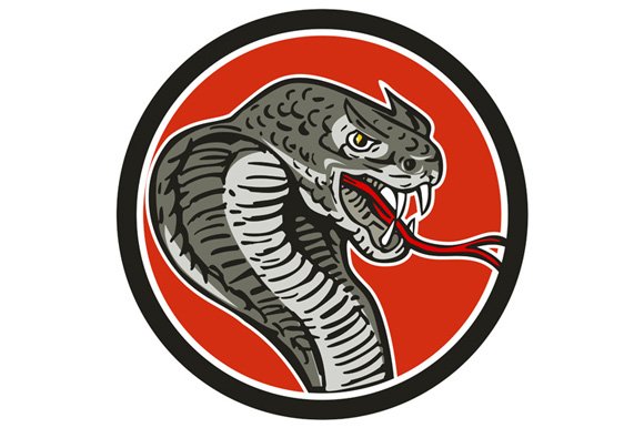 Cobra Viper Snake Circle Retro cover image.