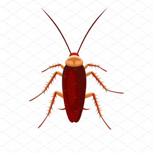 Cockroach Bug Icon on White cover image.