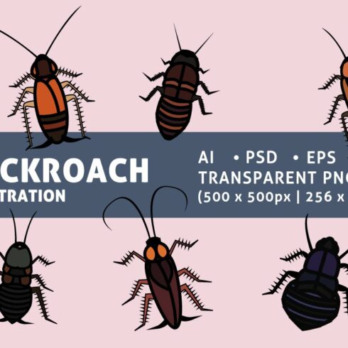 Various Cockroaches cover image.