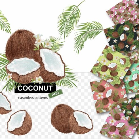 Tropical coconut set cover image.