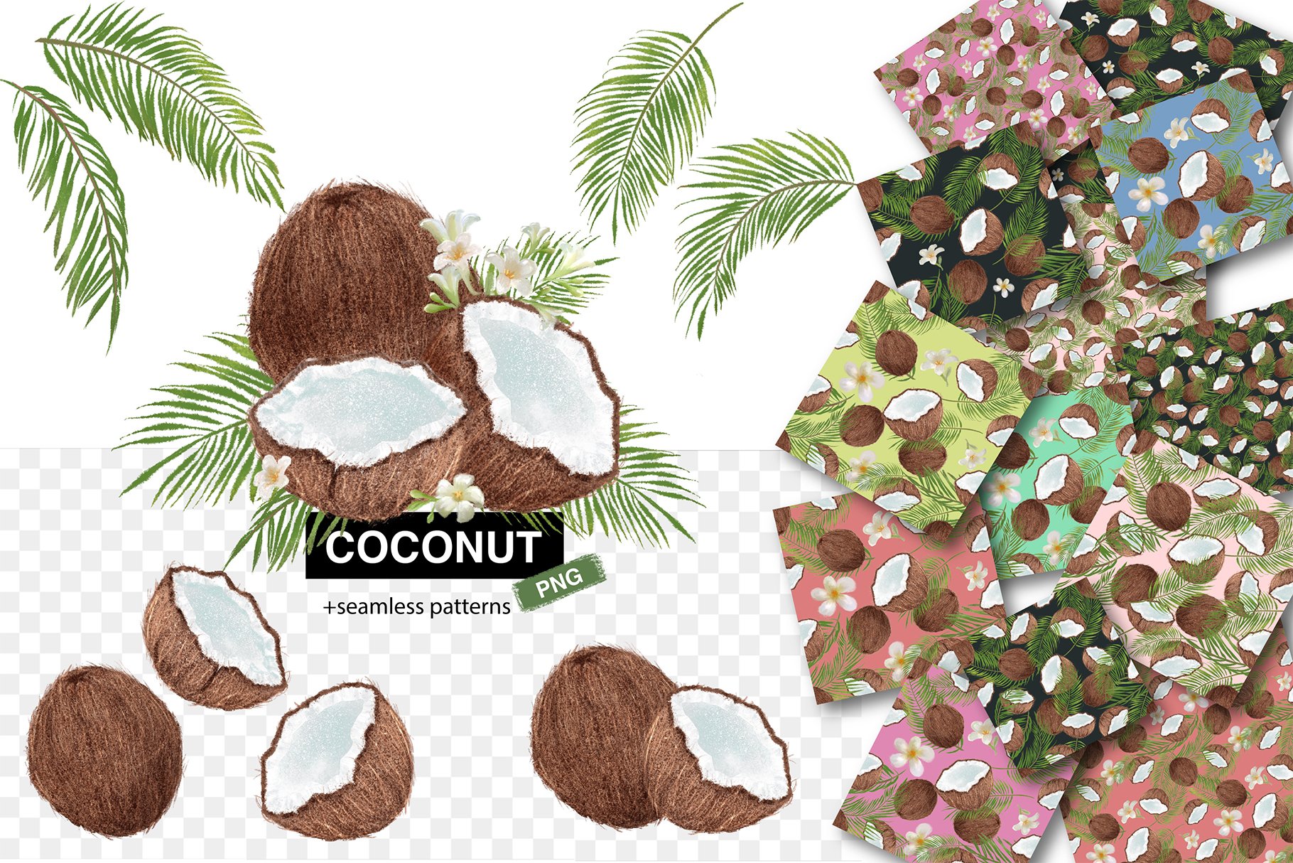 Tropical coconut set cover image.