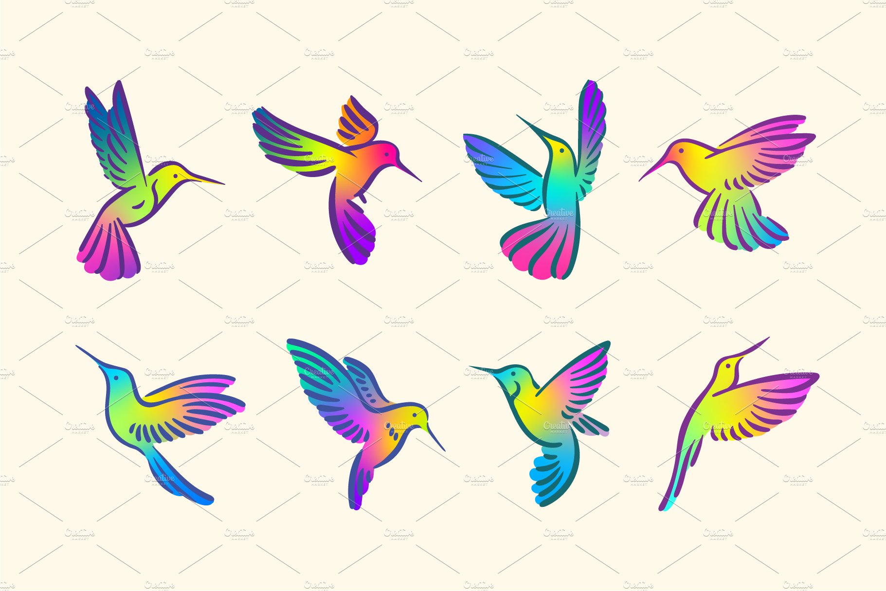 Bright colours colibri hummingbird cover image.