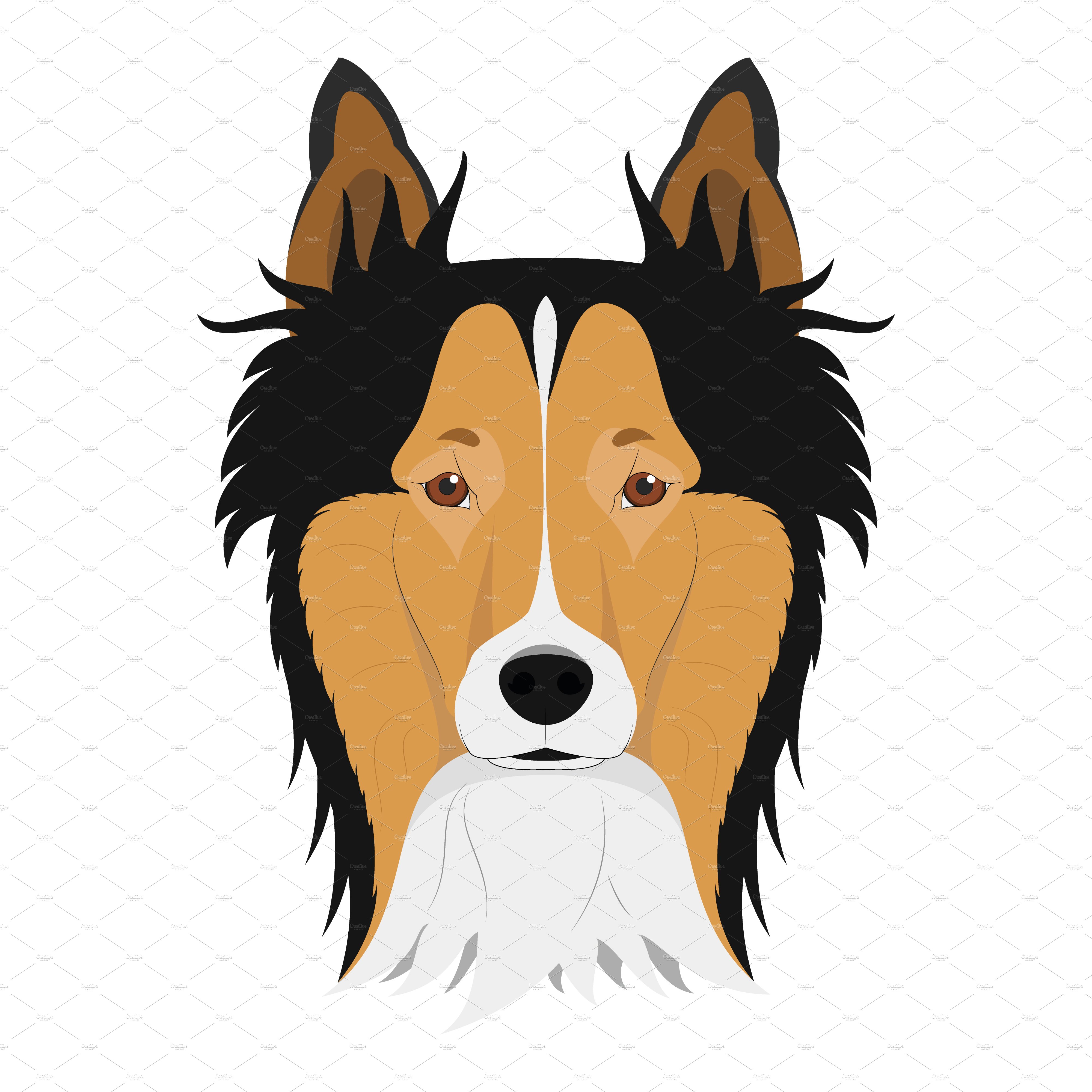 30x Dog breeds Vector Collection preview image.