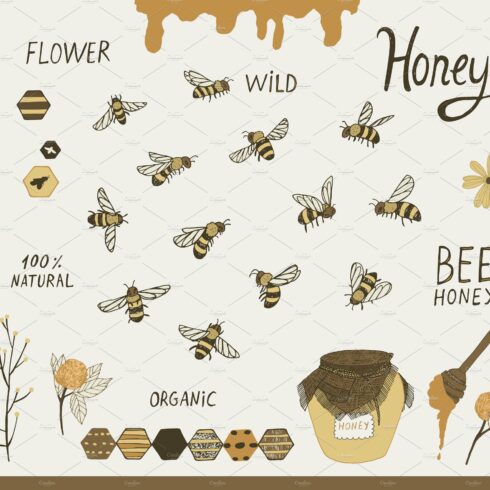 Bees and Honey cover image.