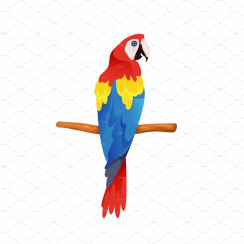 Scarlet Macaw or parrot, vector icon cover image.