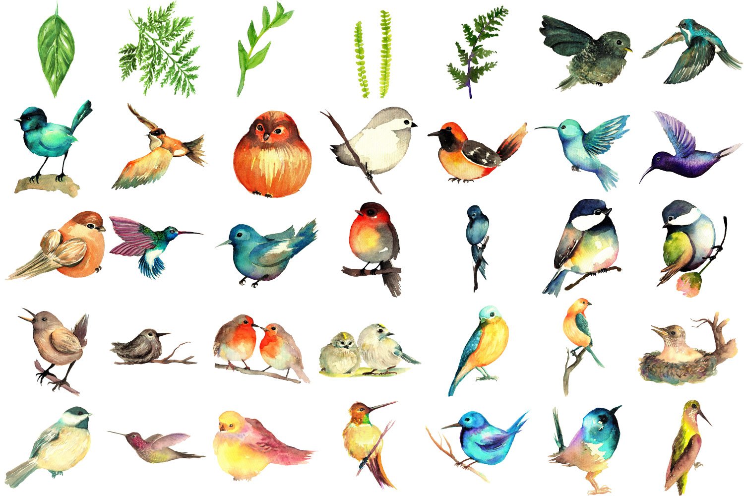 95 Bird Watercolor Clipart Graphics preview image.