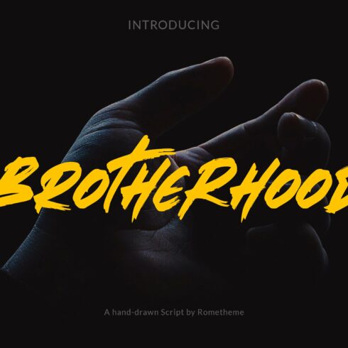 Brotherhood - Brush Script Font cover image.