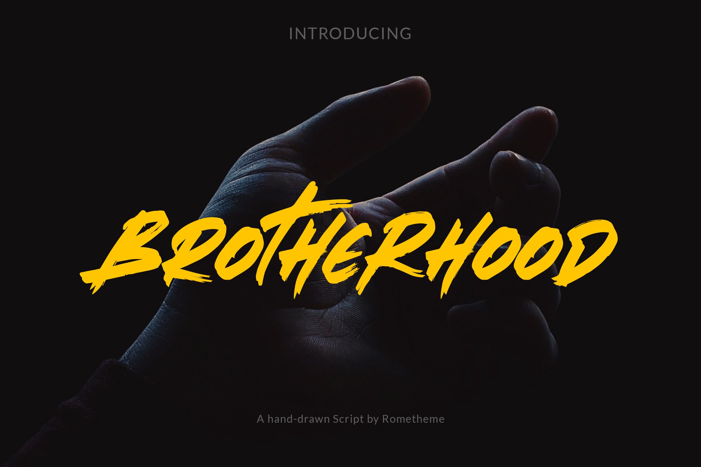 Brotherhood - Brush Script Font cover image.