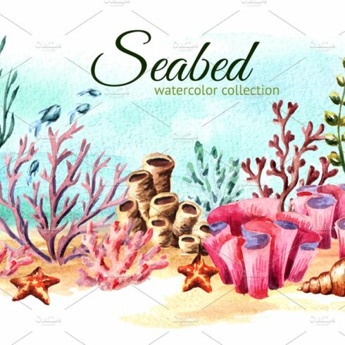 Seabed. Watercolor collection cover image.