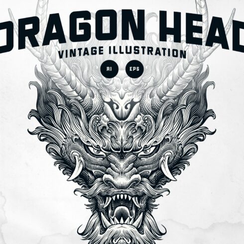 Dragon Head Illustration cover image.