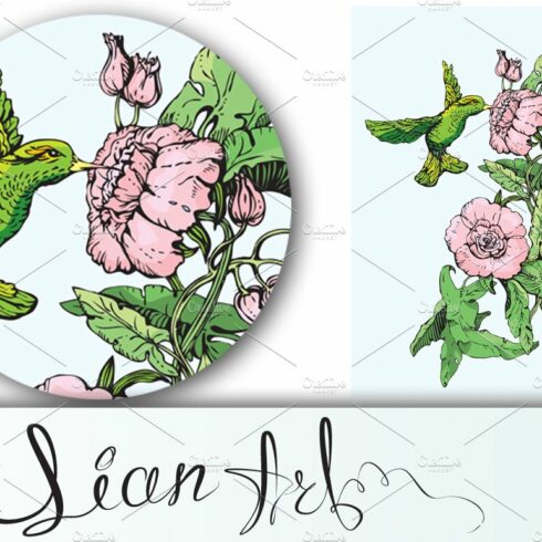Colibri and flowers. Handdrawn sketc cover image.