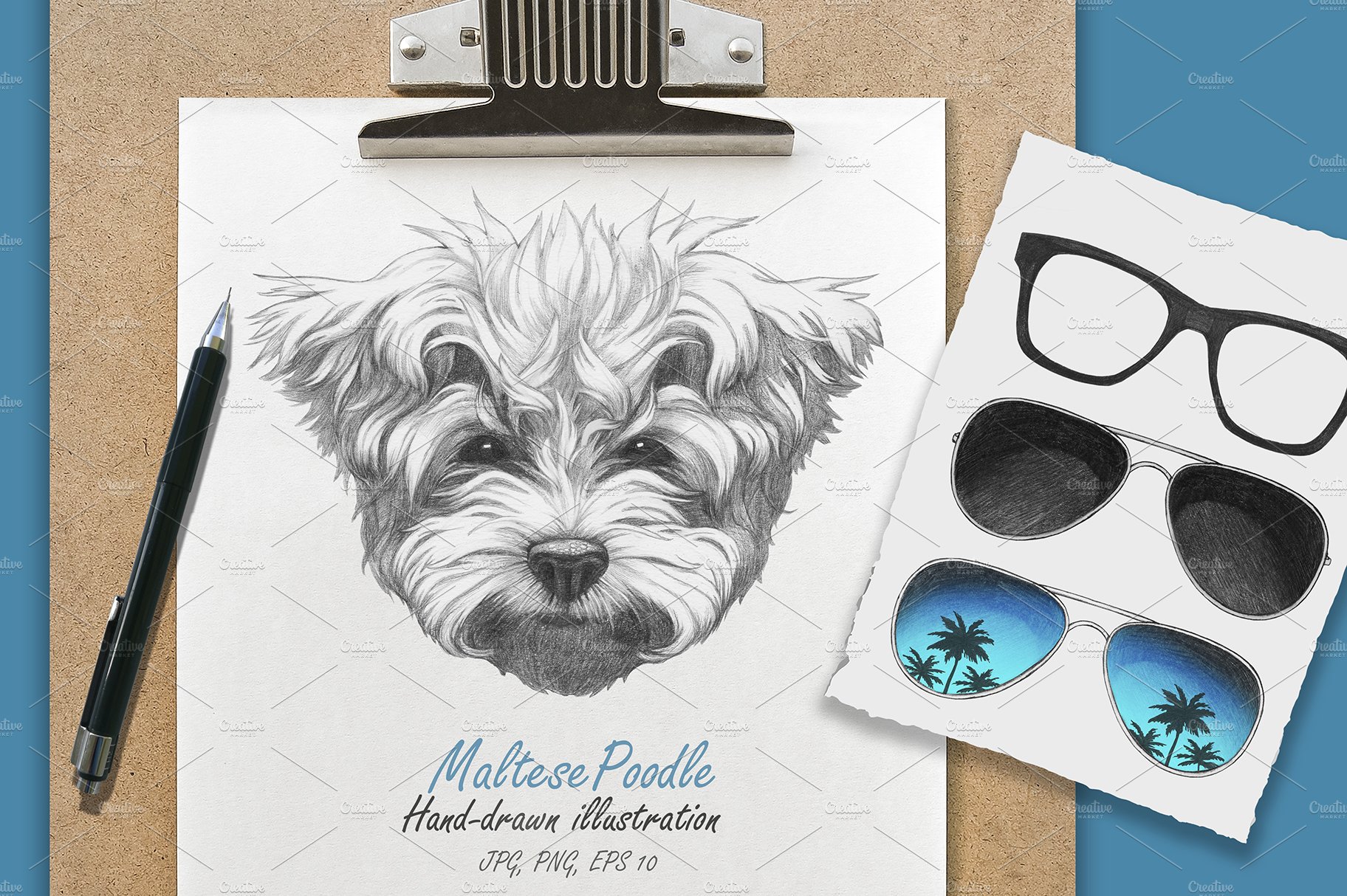 Maltese Poodle // Glasses cover image.