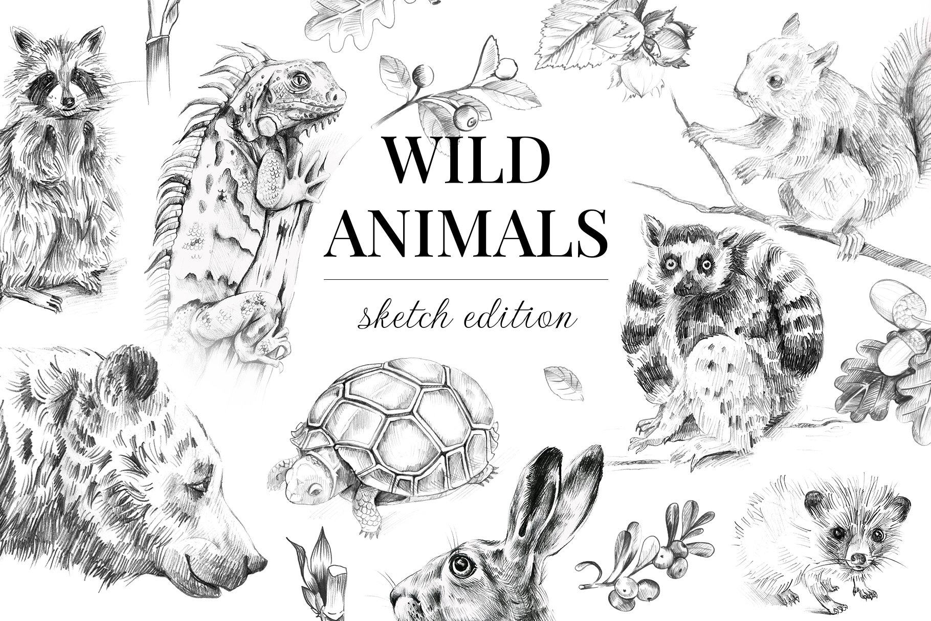 Wild animals. Sketch edition. 22 PNG cover image.