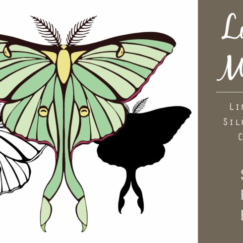 Luna Moth Vector Graphic Set cover image.