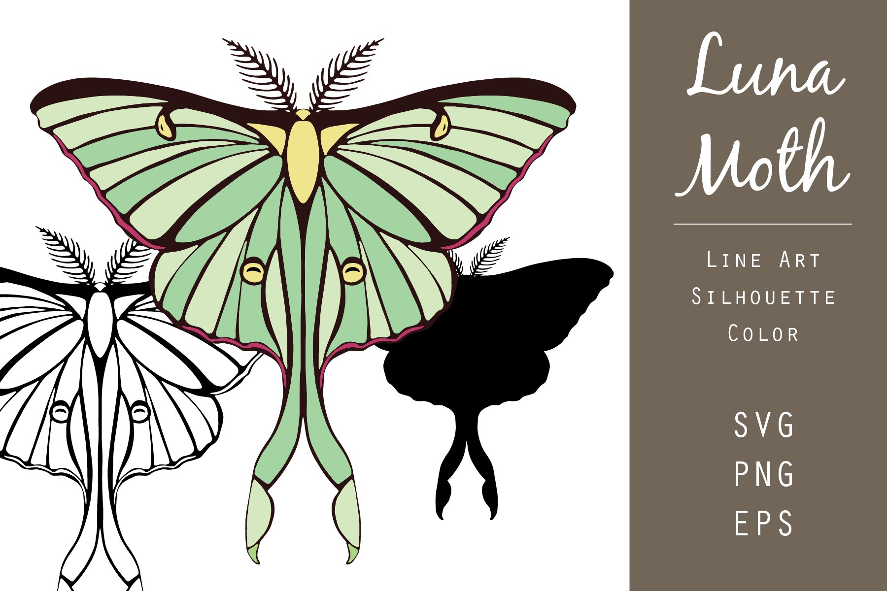 Luna Moth Vector Graphic Set cover image.