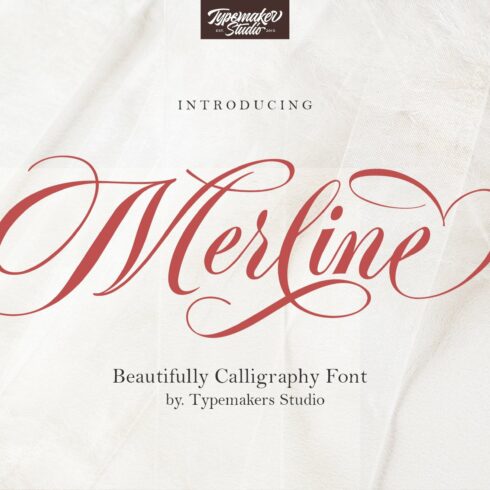 Merline Script cover image.