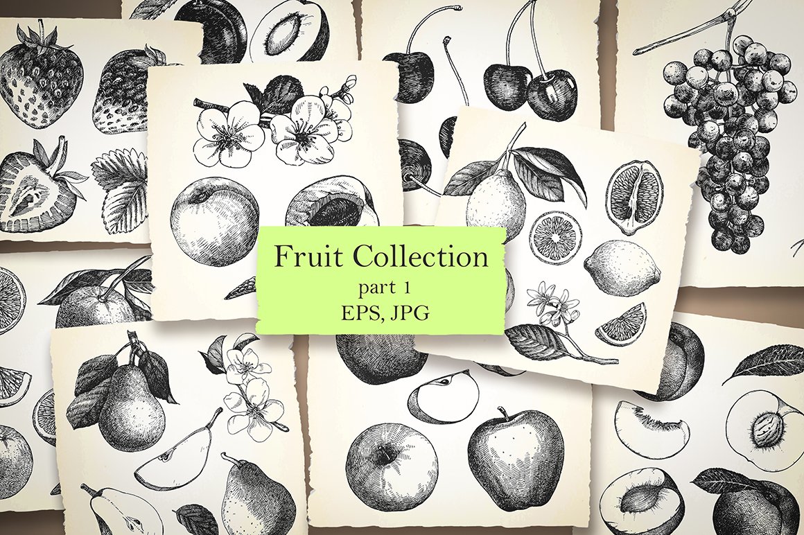 Fruit Collection / part 1 cover image.