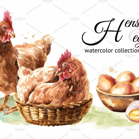 Hens & eggs. Watercolor collection cover image.