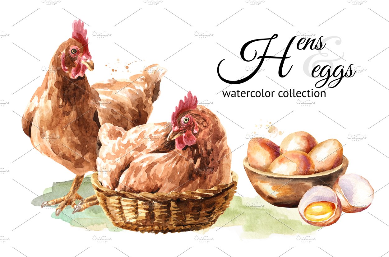 Hens & eggs. Watercolor collection cover image.