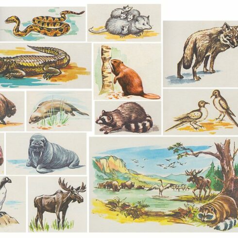 Animals Retro Illustrations Clipart cover image.