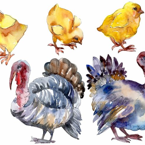 Agriculture: Turkey, chicken Waterco cover image.