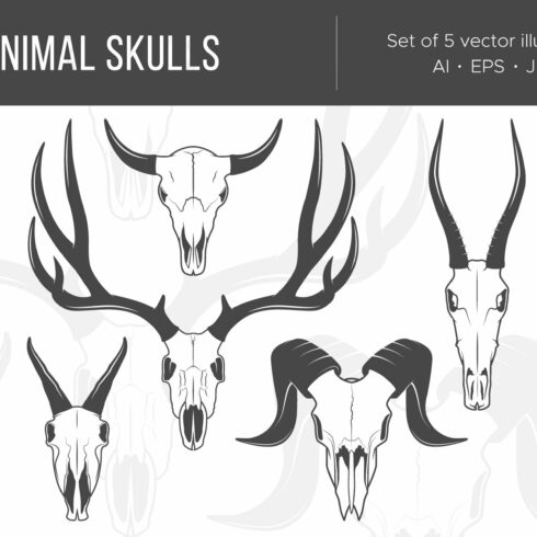 Set of vector icons of animal skulls cover image.