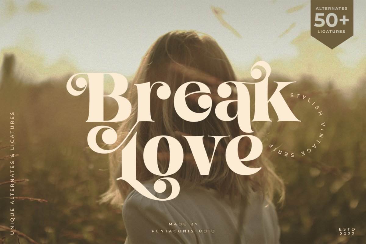 Break Love | Classy Retro Font cover image.