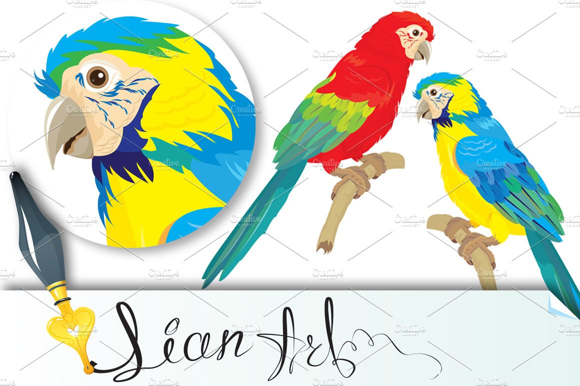 Blue Yellow and Red Blue Macaw parro cover image.