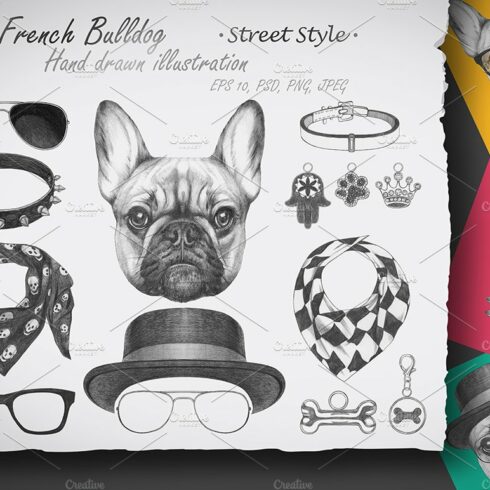 French Bulldog / Street Style cover image.